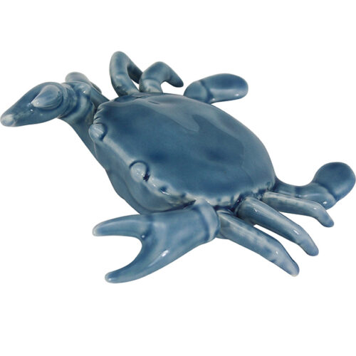 Porcelain Crab