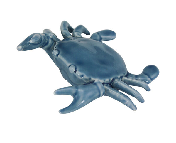Porcelain Crab