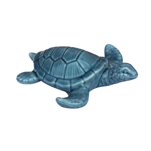 Porcelain Turtle