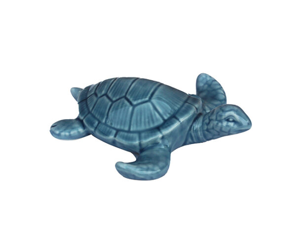 Porcelain Turtle