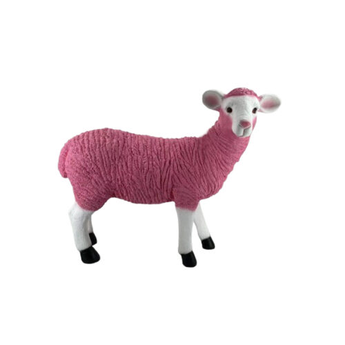 Standing Sheep