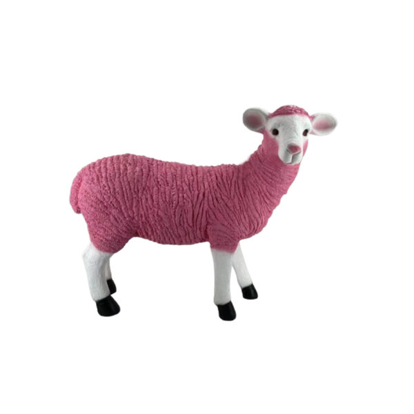 Standing Sheep